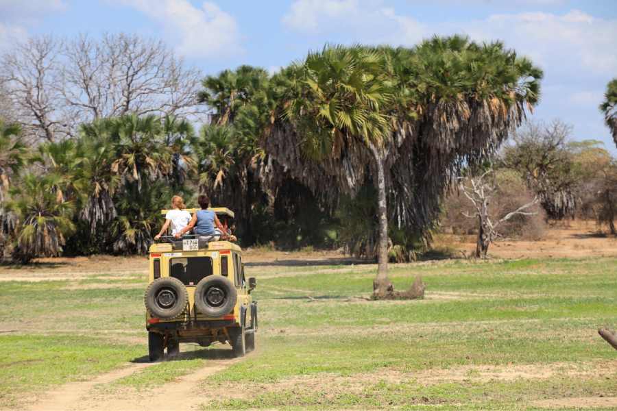 Voyage en Tanzanie : vivez un safari exclusif, loin des sentiers battus